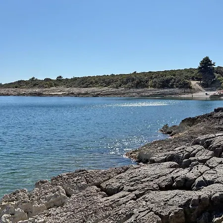 Braidizza With Pool For 7 Guests Near Sea Kavran